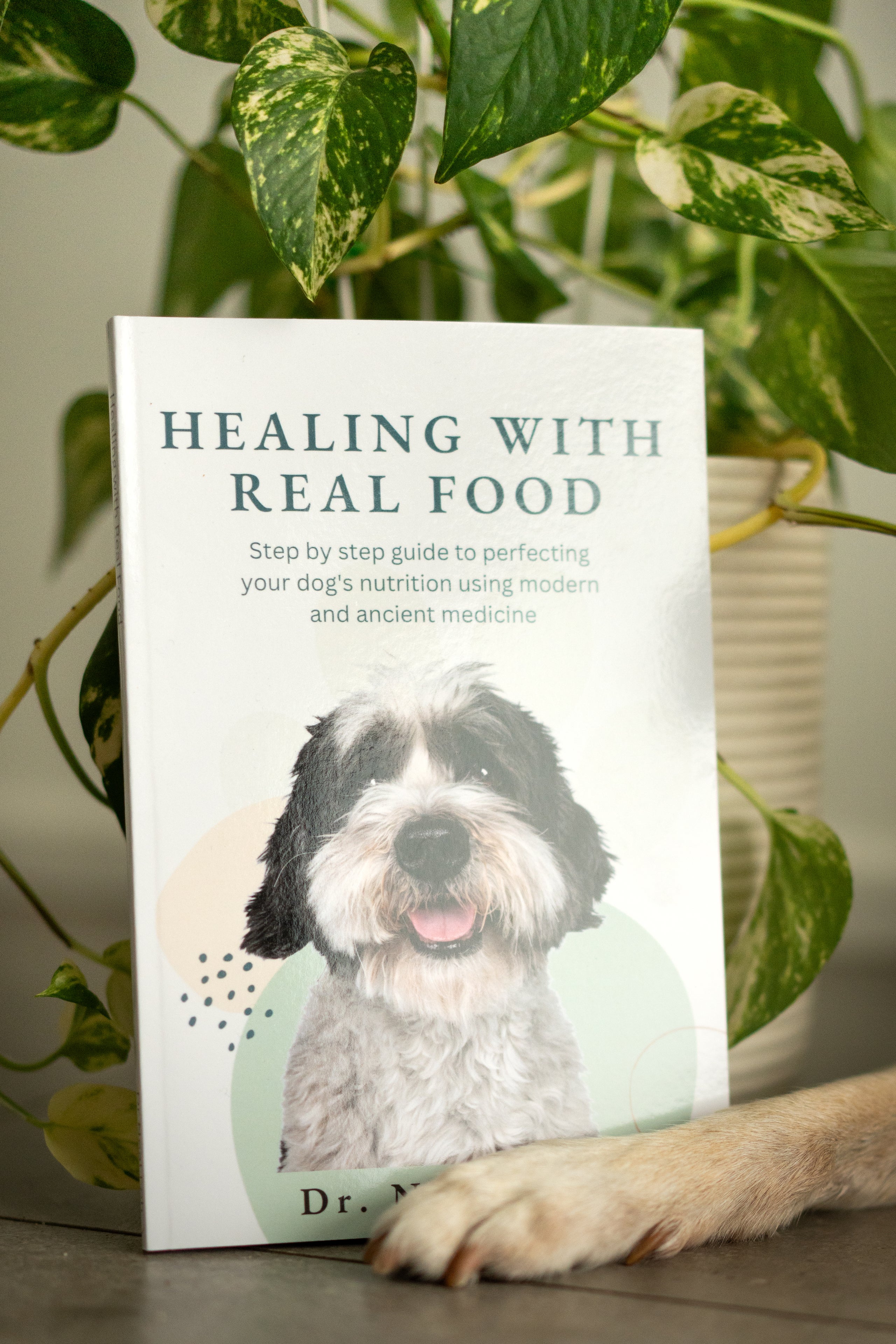 BIGGEST DISCOUNT EVER! 20 OFF Healing with Real Food Guide Book